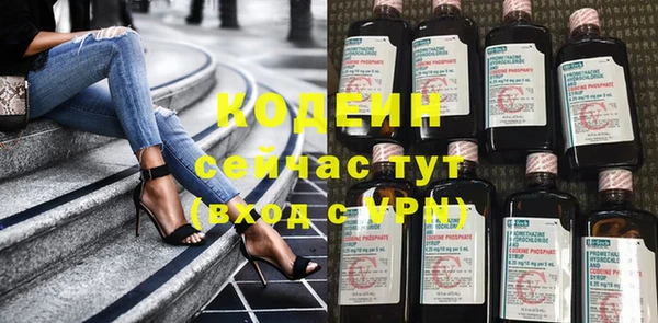 шишки Белоозёрский