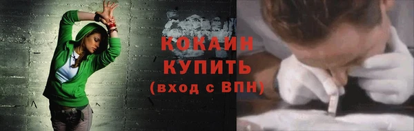 шишки Белоозёрский